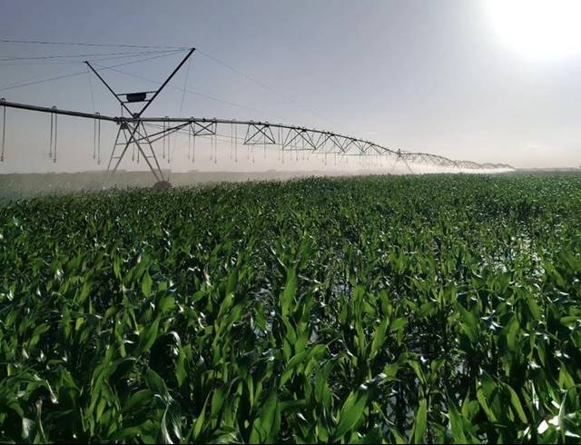 FARM FOR SALE IN BLOEMFONTEIN RURAL
